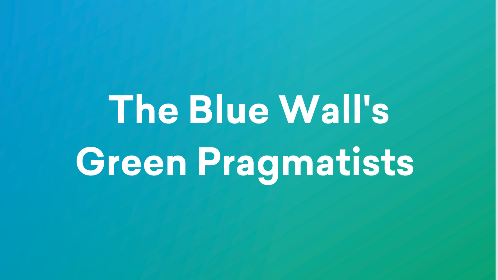 BW Green Pragmatists