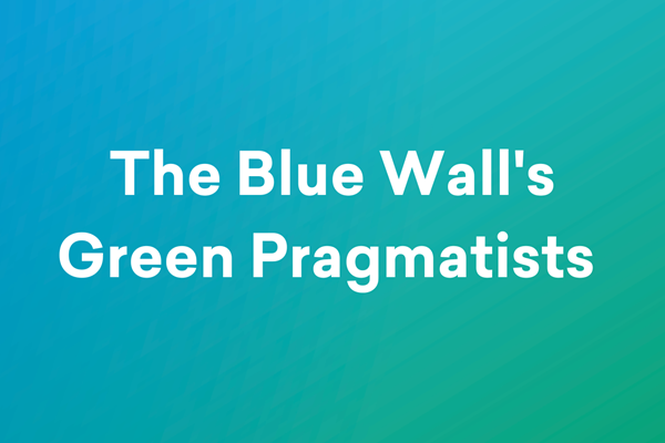 BW Green Pragmatists